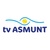 Logo T.V. Asmunt (50x50)