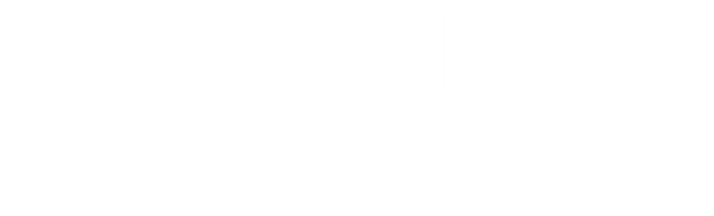 Logo pickleballgids.nl