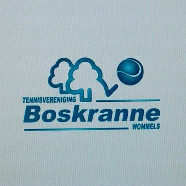 Logo TV Boskranne